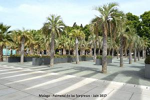 134- Malaga Palmeral Sorpresas